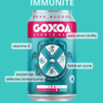 GOXOA IPA Canette