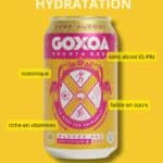 Goxoa Blonde Ale Canette